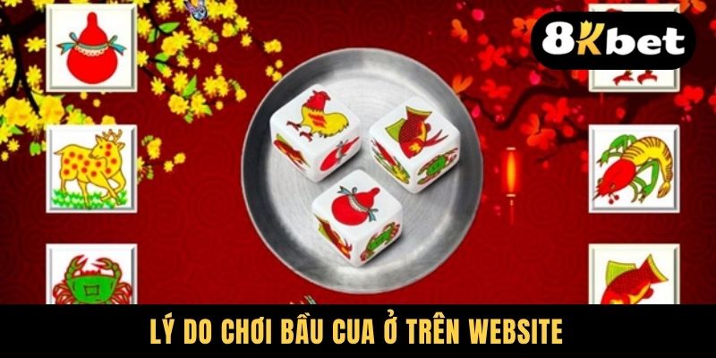 Lý do chơi Bầu Cua ở trên website