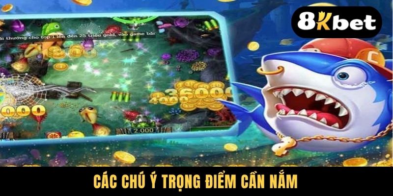Các chú ý trọng điểm cần nắm