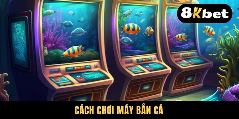 Cách Chơi Máy Bắn Cá - Thủ Thuật Không Phải Ai Cũng Biết