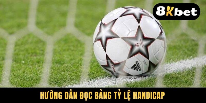 Từ A Đến Z Cách Đọc Kèo Bóng Đá Dễ Hiểu Cho Người Mới 2 Hướng dẫn đọc bảng tỷ lệ Handicap