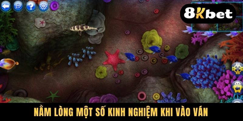 Mẹo Bắn Cá Online Chuẩn Giúp Anh Em Làm Giàu Cực Nhanh 3 Nằm lòng một số kinh nghiệm khi vào ván