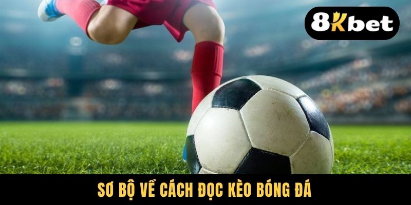 Từ A Đến Z Cách Đọc Kèo Bóng Đá Dễ Hiểu Cho Người Mới 1 Sơ bộ về cách đọc kèo bóng đá
