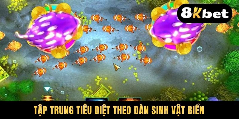 Mẹo Bắn Cá Online Chuẩn Giúp Anh Em Làm Giàu Cực Nhanh 2 Tập trung tiêu diệt theo đàn sinh vật biển